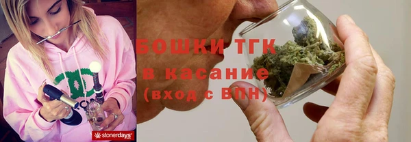 стафф Алексин