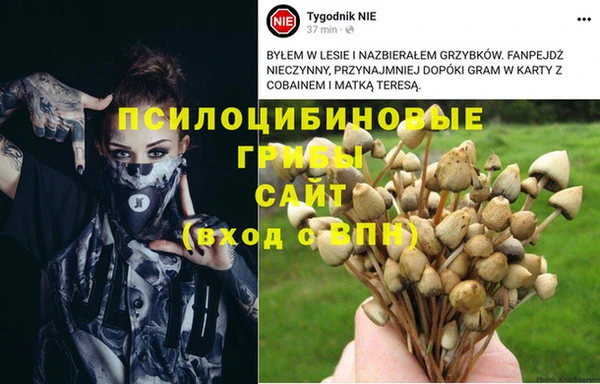 стафф Алексин